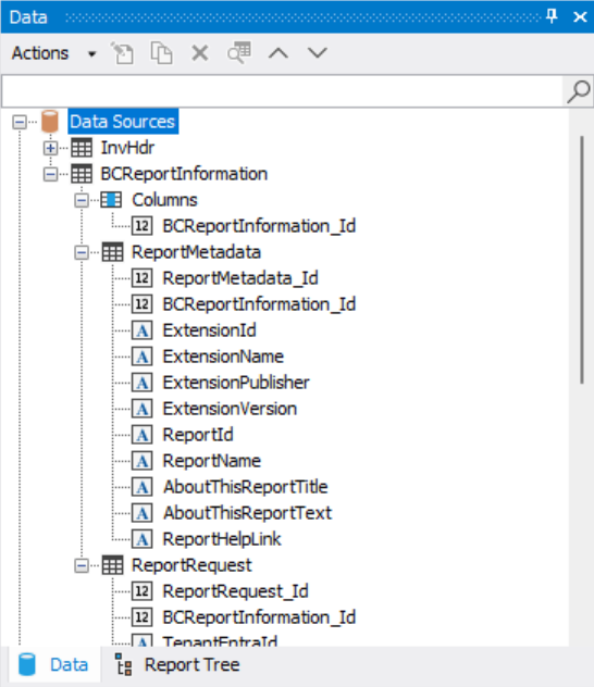 BCReportInformation Data Sources in Designer